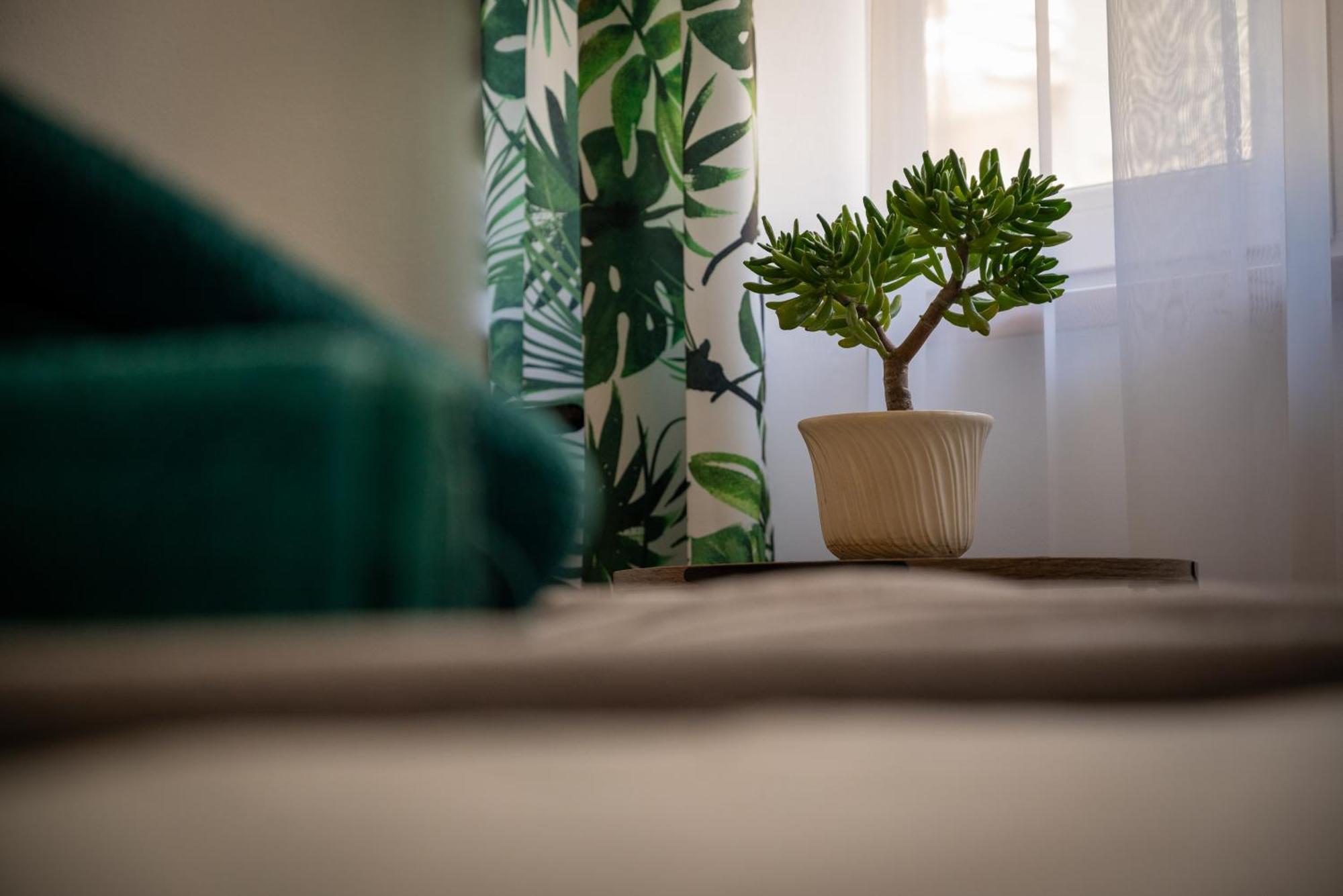 Apartamento Na Szlaku